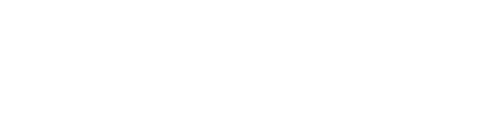 footer-logo